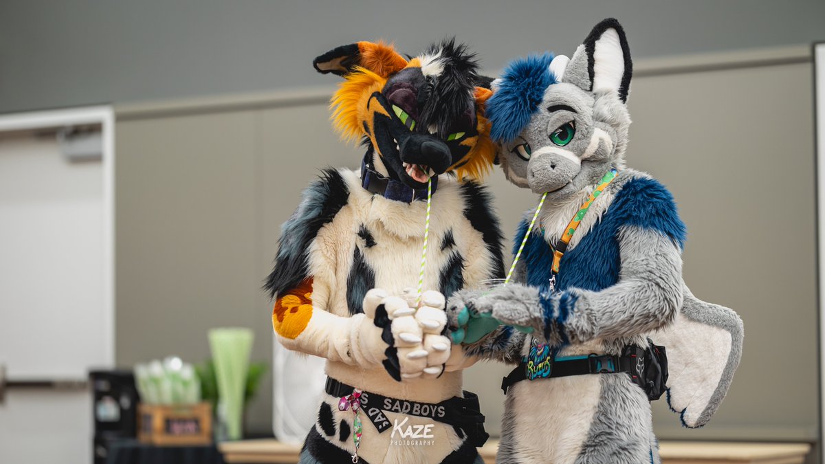 Bringing a bag, water bottle, medical supplies, or other important stuff? We strongly recommend labelling them with a name/identifier and contact method in case you lose it! 🏷️🪪

If you do happen to lose it during #Anthrocon, our Lost and Found is located in DLCC 308.

📸 Kaze