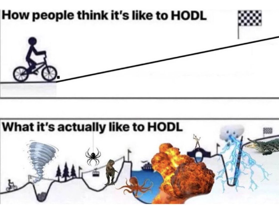 No one said HODLing is easy. 

But we’re all still here.