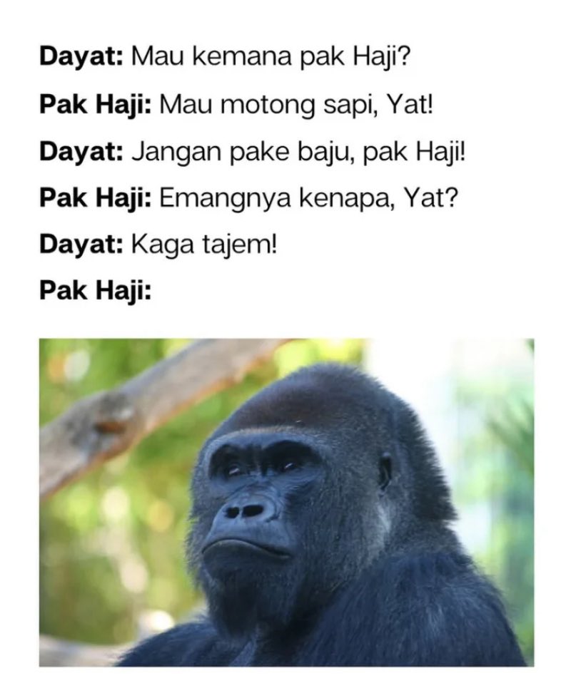 Bener juga si Dayat…