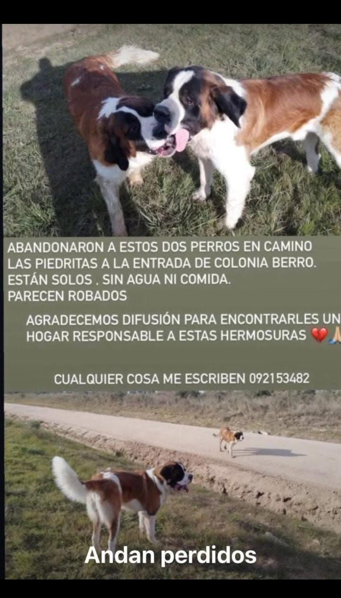 Adriana43587622's tweet image. 🙏🏻🙏🏻🙏🏻🙏🏻🙏🏻