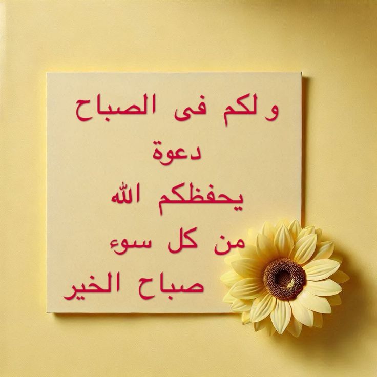 هُدُوء | سُكُون (@wn194) on Twitter photo 