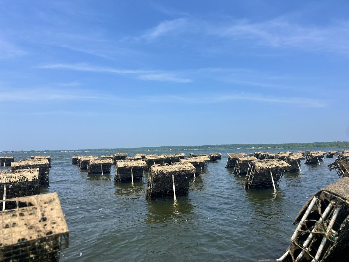 Love our annual 3rd grade field trip to the Behan Family Oyster Farm!! 🦪 ☀️ 🚤 😎#ninigretnectars #farmtotable #ashawayschool <a href="/CharihoRegional/">Chariho Regional💚</a> #charihoalumni