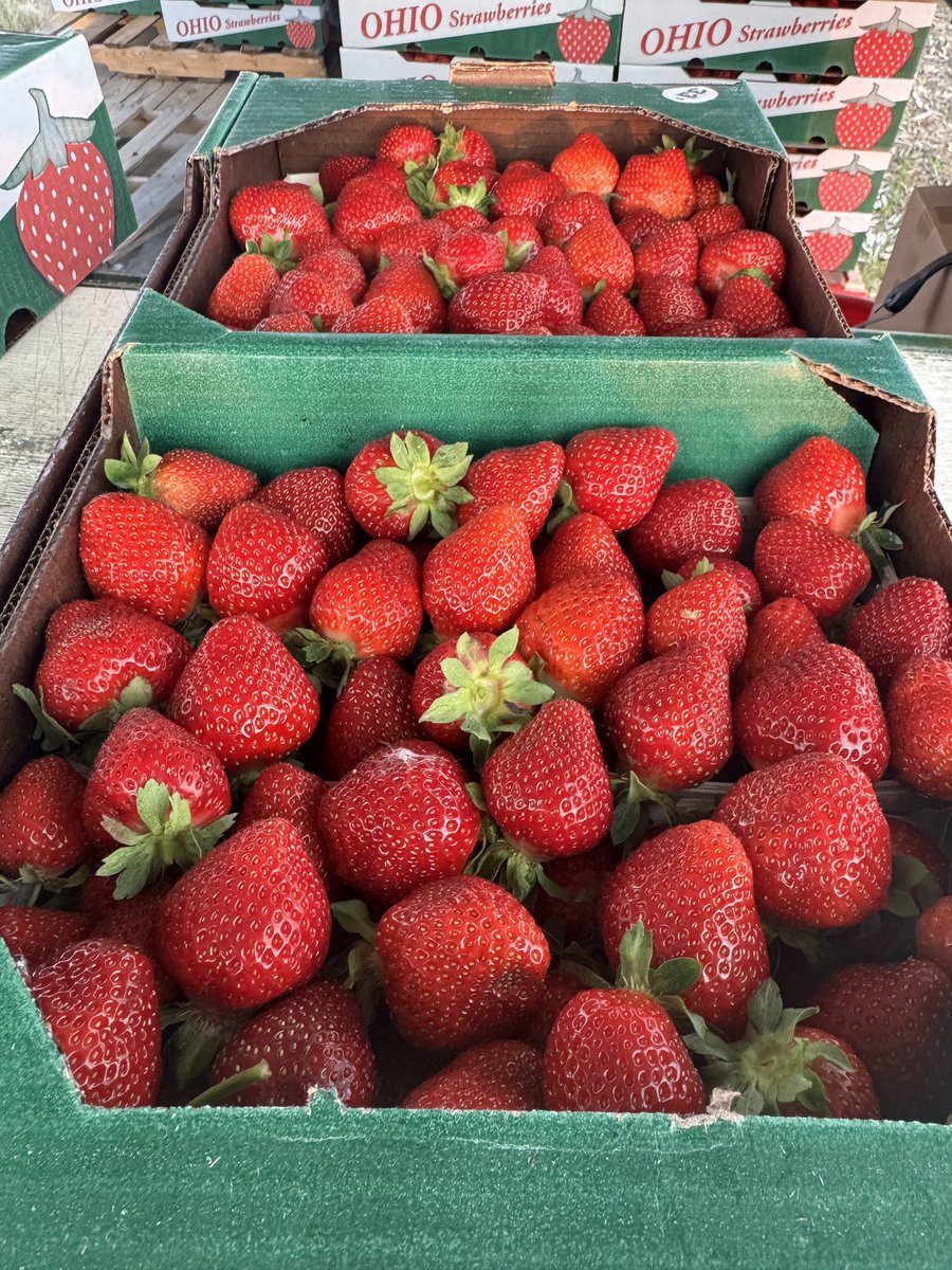 Kate- second year with nice size