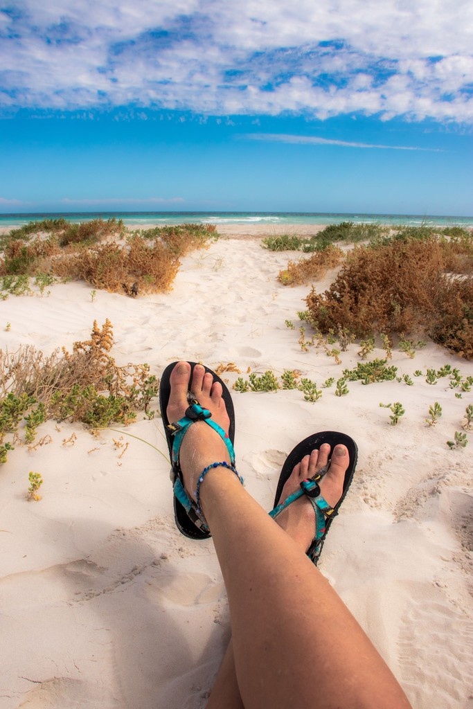 Can it get any better than this? 🌞

#barefootlife #runningsandals #runningfeet #run #runnersworld #barefootted #runfree #LUNASandals #borntorun #minimalistshoes #minimalistsandals