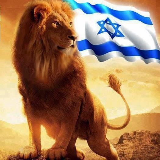 Oremos por Israel que ahora mismo se está enfrentando a Irán.
Am Israel Jai!