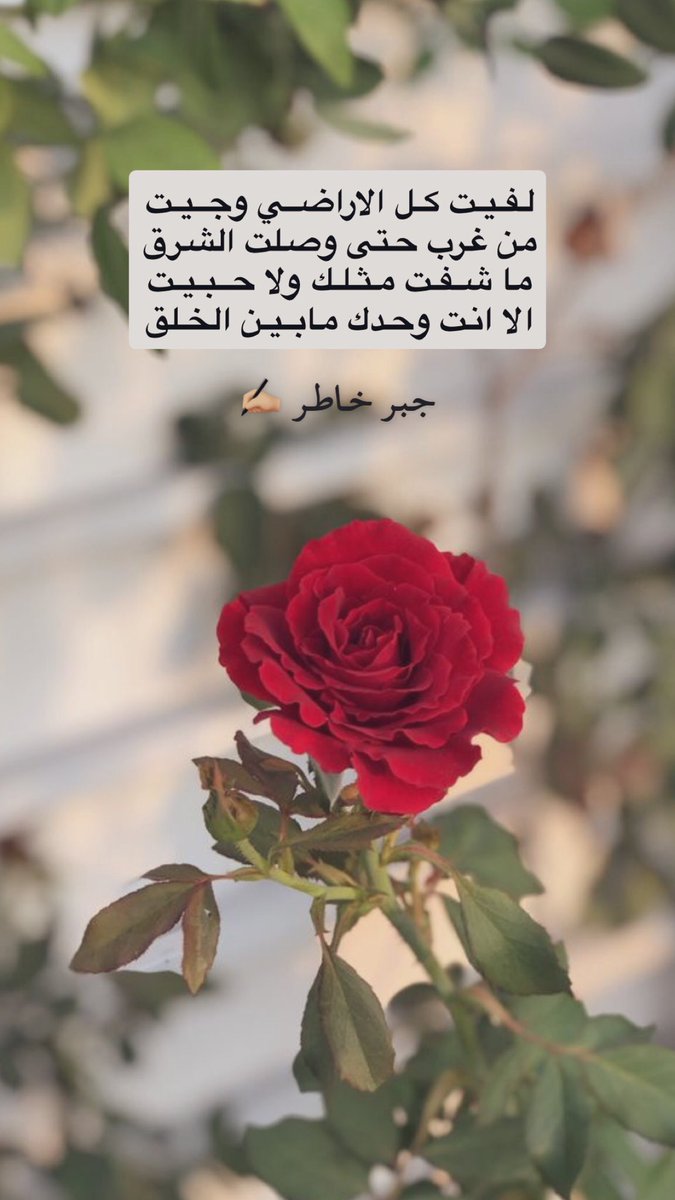 جبر خاطر ✍🏼 tweet media