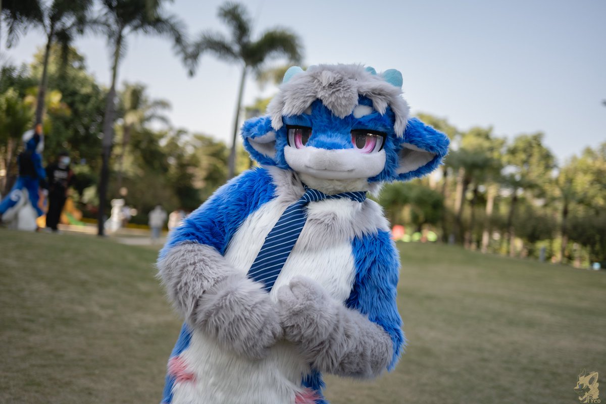 #FursuitFriday 发个毛五   📷@弗雷点奥