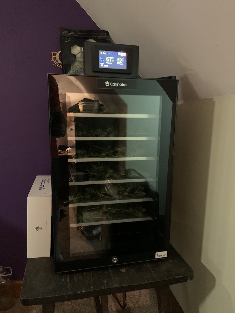 Cannatrol is stuffed with the Sour Skink. 8 days from Chop to dry to cured perfection.