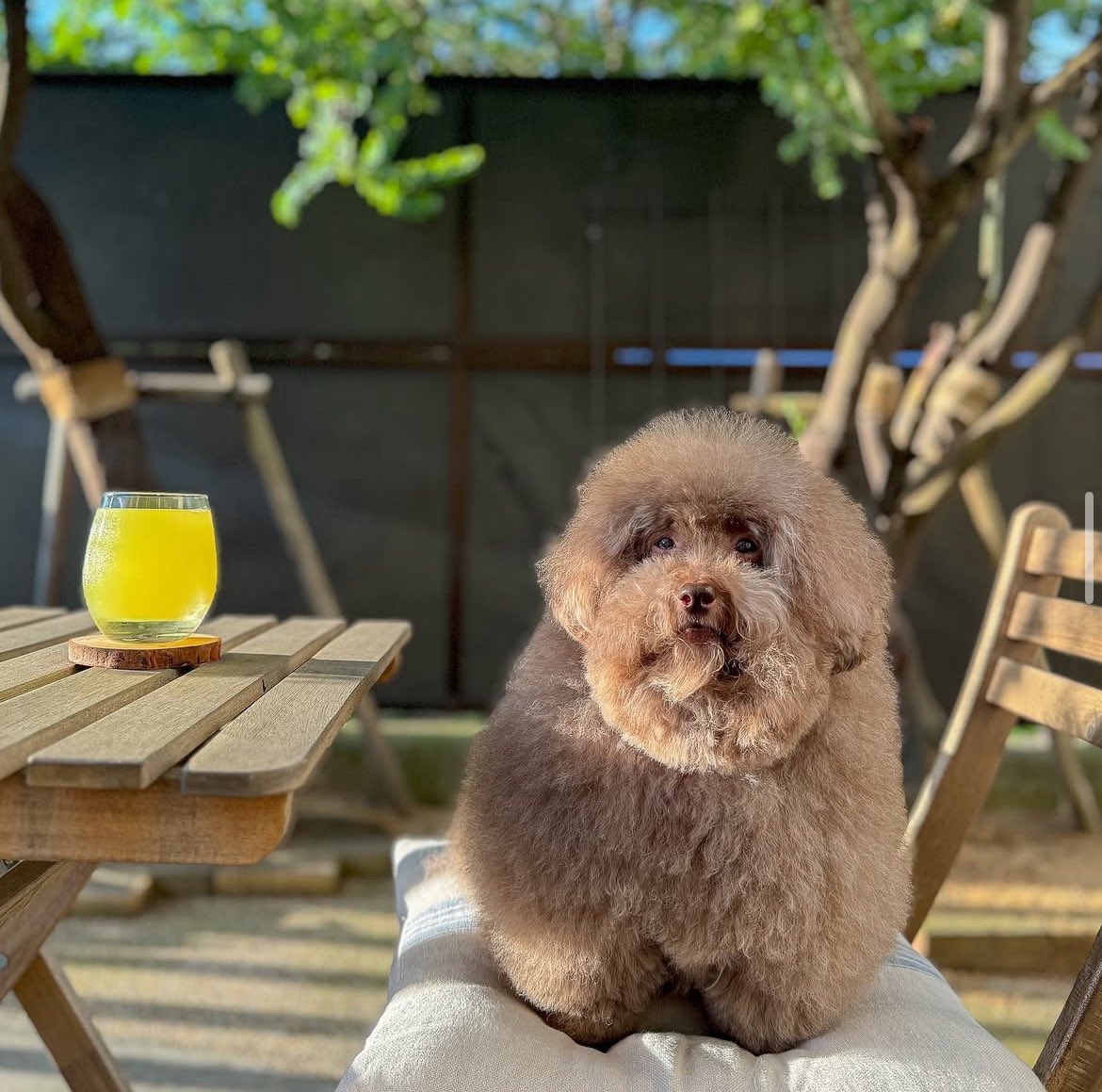 <a href="/cb_doge/">DogeDesigner</a> if you still believe that friday the 13th is a worst date and day then just buy $MOHU

stay in your house have some coffee and thank me for  the next potential 1000x in your life

0xda4fb44a4d289b0371356cd034d22e54eacbb0b1