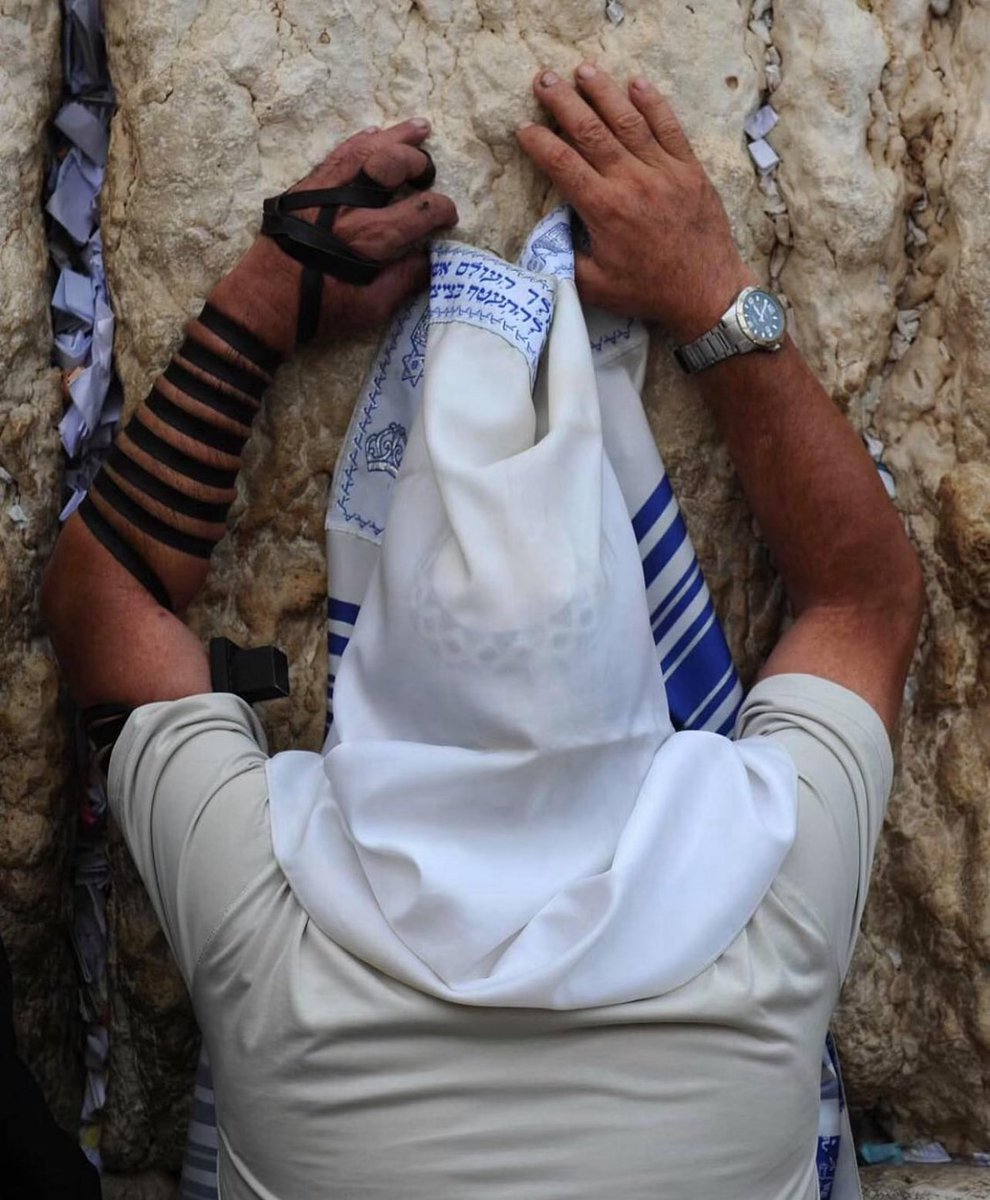 Praying for Israel 🇮🇱

Photo: Mark Neyman, <a href="/GPOIsrael/">Government Press Office 🇮🇱</a>