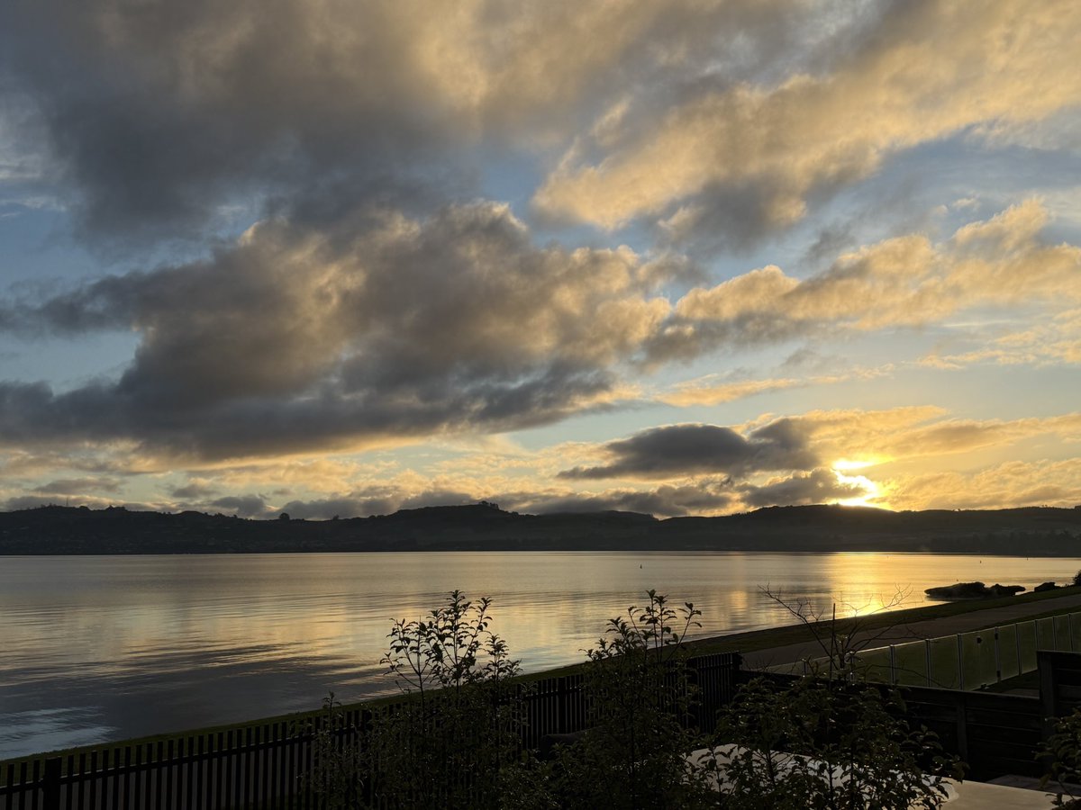 Andrea Stewart tweet media