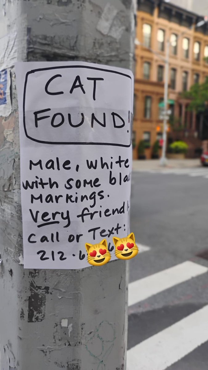 CatFoundSOL's tweet photo. White fur, black flair,
found this boy with
charm to spare-
#NYC streets, now he's sweet
Whoโs missing this VIP
of the alley elite? ๐พ
#CatFound #SolanaMemeCoin
@CatWorkers @PostsOfCats
https://t.co/sv5yki5C3U https://t.co/UbebmXg8YY