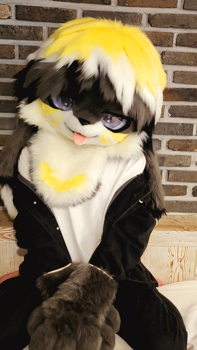 😼😼

📸@4bfox