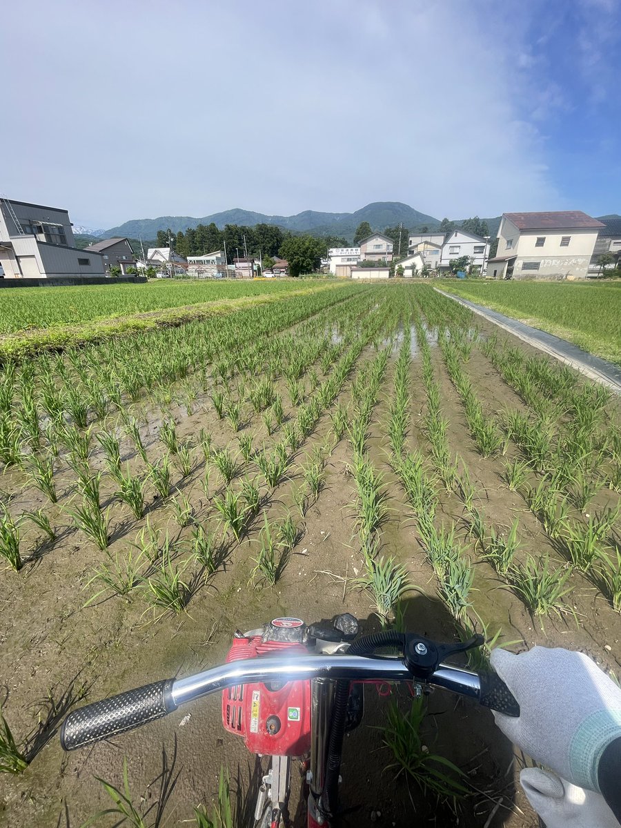 仮面ライダーじゃなく田面ライダー