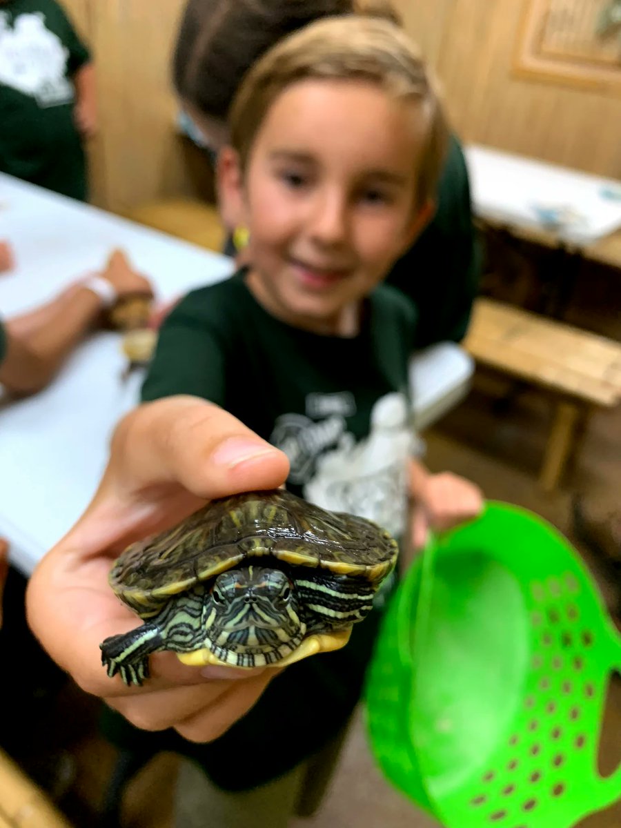 Ready for a wild summer? 🦎🌞 Sign your little explorers up for Jr. Zookeeper Summer Camp at The Reptile Zoo! Dig fossils, meet live snakes, and discover nature’s coolest secrets. Spots are limited—register now! 🐍🦖 #SummerCamp #LosAngeles 
👉   bit.ly/3FX56ek