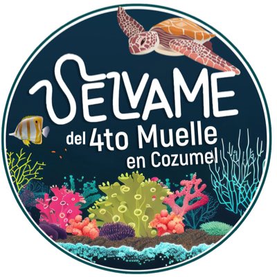 Nos unimos para evitar más destrucción. #NoAl4toMuelle #SelvameDel4toMuelle