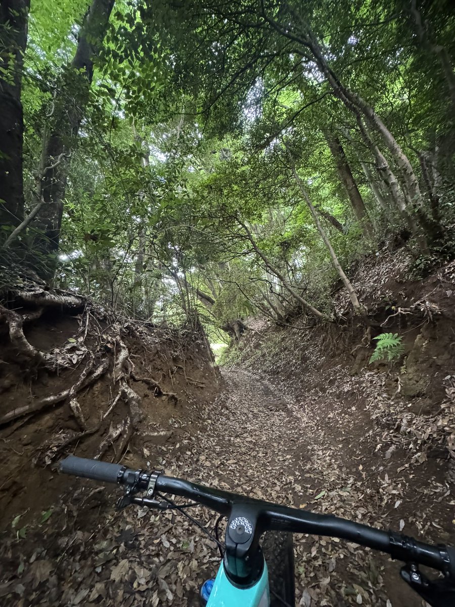 ride_food_love's tweet image. 今朝はMTBサイクリングしてきた🚴

静かで良い道だった👍

#MTB
#elvesbike
#NANDOR