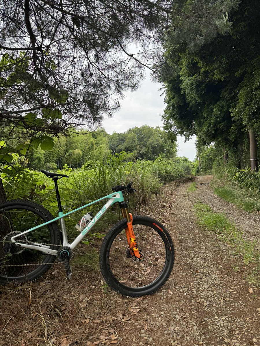 ride_food_love's tweet image. 今朝はMTBサイクリングしてきた🚴

静かで良い道だった👍

#MTB
#elvesbike
#NANDOR