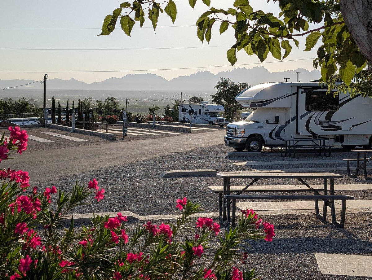 Katherine Dohl tweet media