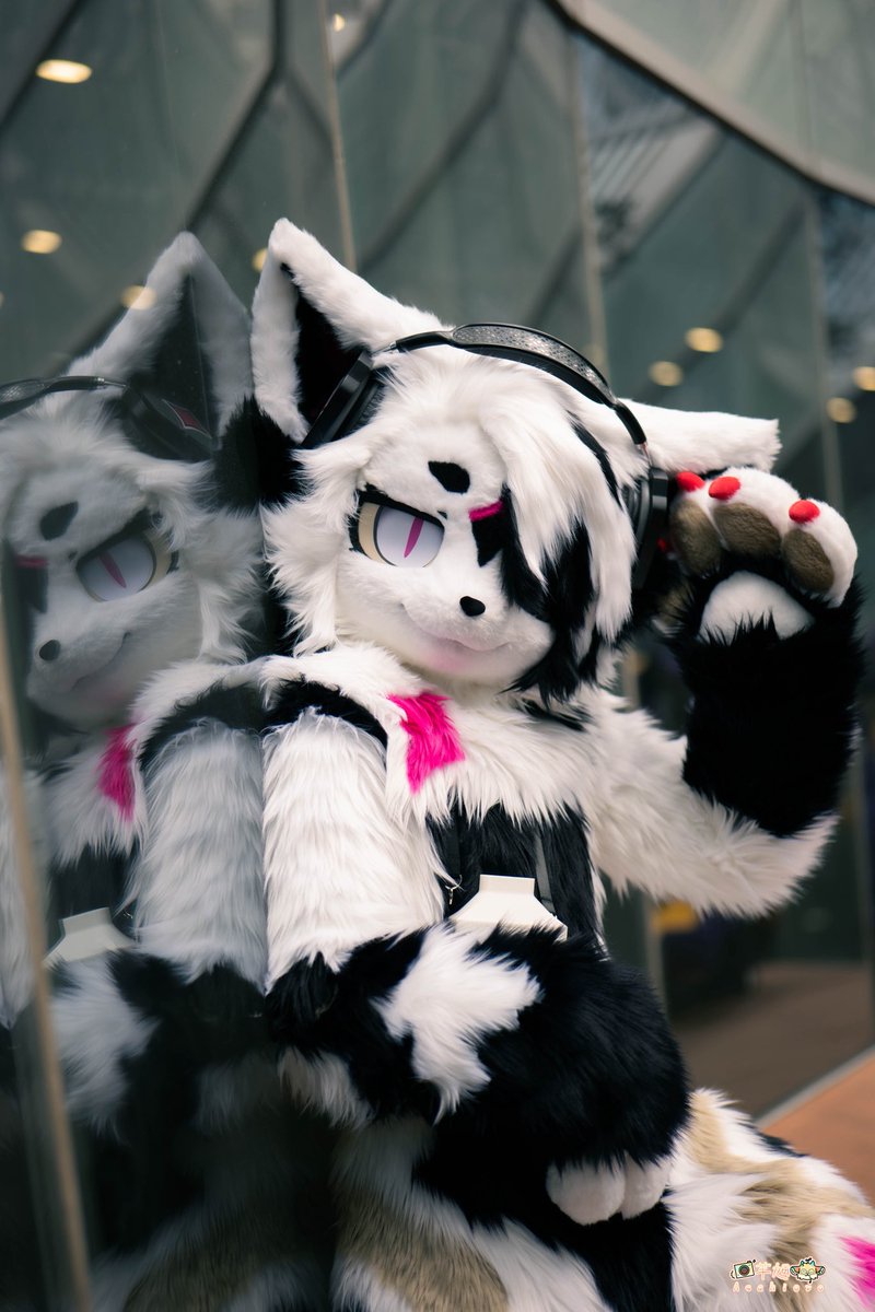 又是我，早安咪咪

📷：<a href="/AsahiOvO_0104/">芊旭🌱</a> 
#FursuitFriday