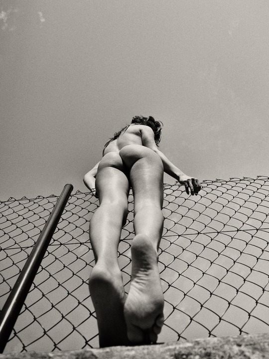 Hoeratio Hornyblower (@chestahead) on Twitter photo 