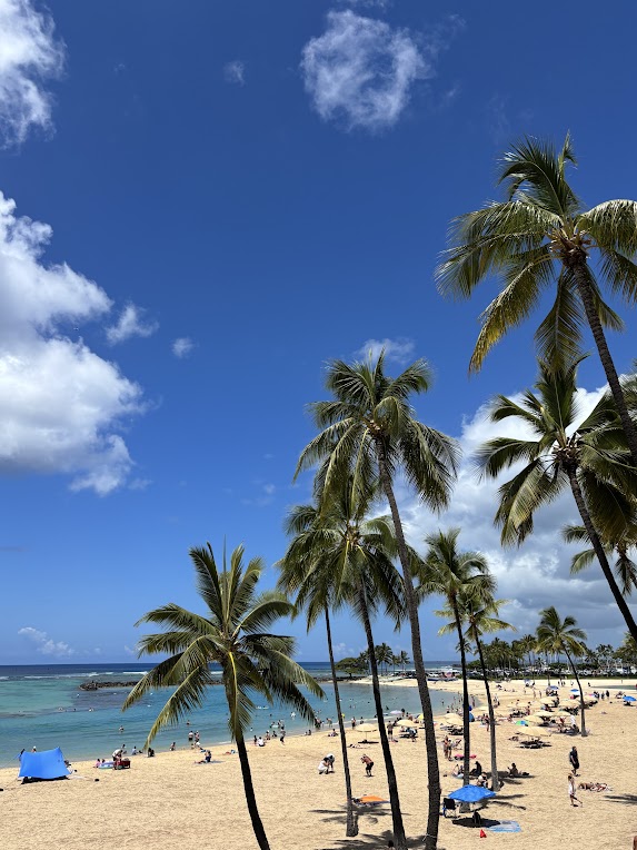 #ハワイ からおはようございます🌴☀本日も素敵な一日になりますように🌺

#ハワイ好きな人と繋がりたい #ハワイ旅 #ハワイ旅行 #ワイキキ #ワイキキビーチ #ヤシの木