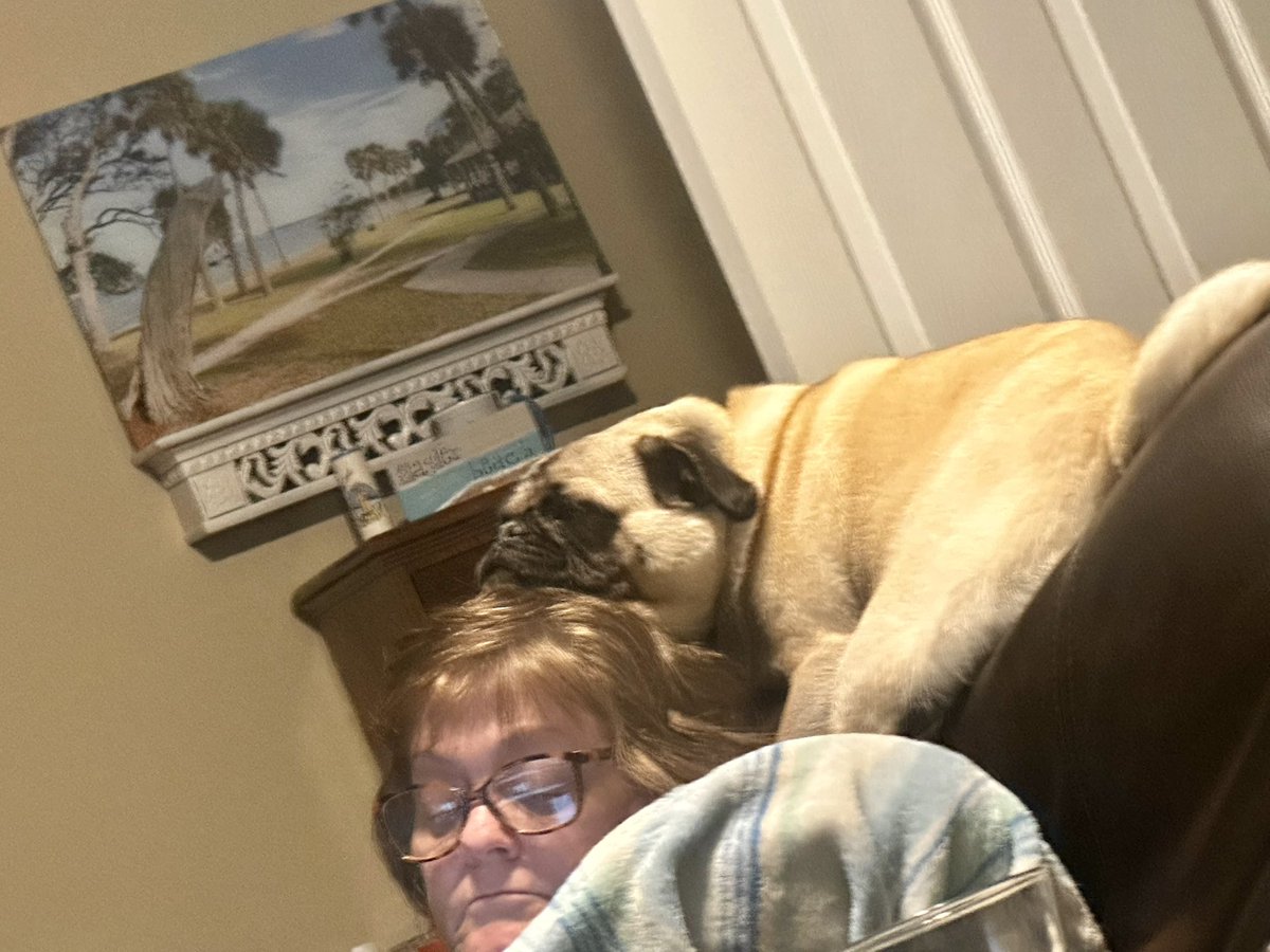 Peppa sure loves resting on top of Lori's head. Lol