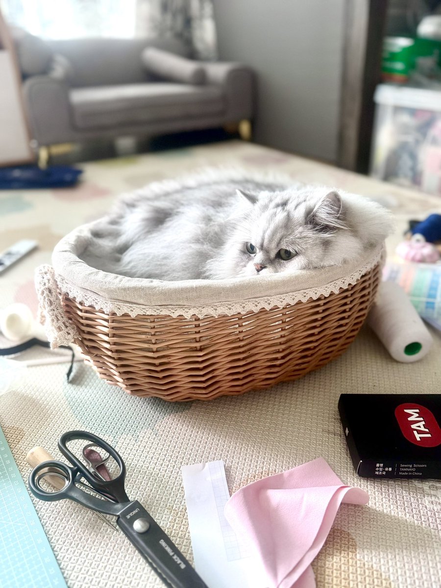 나오거라~ 정리 좀 하자~