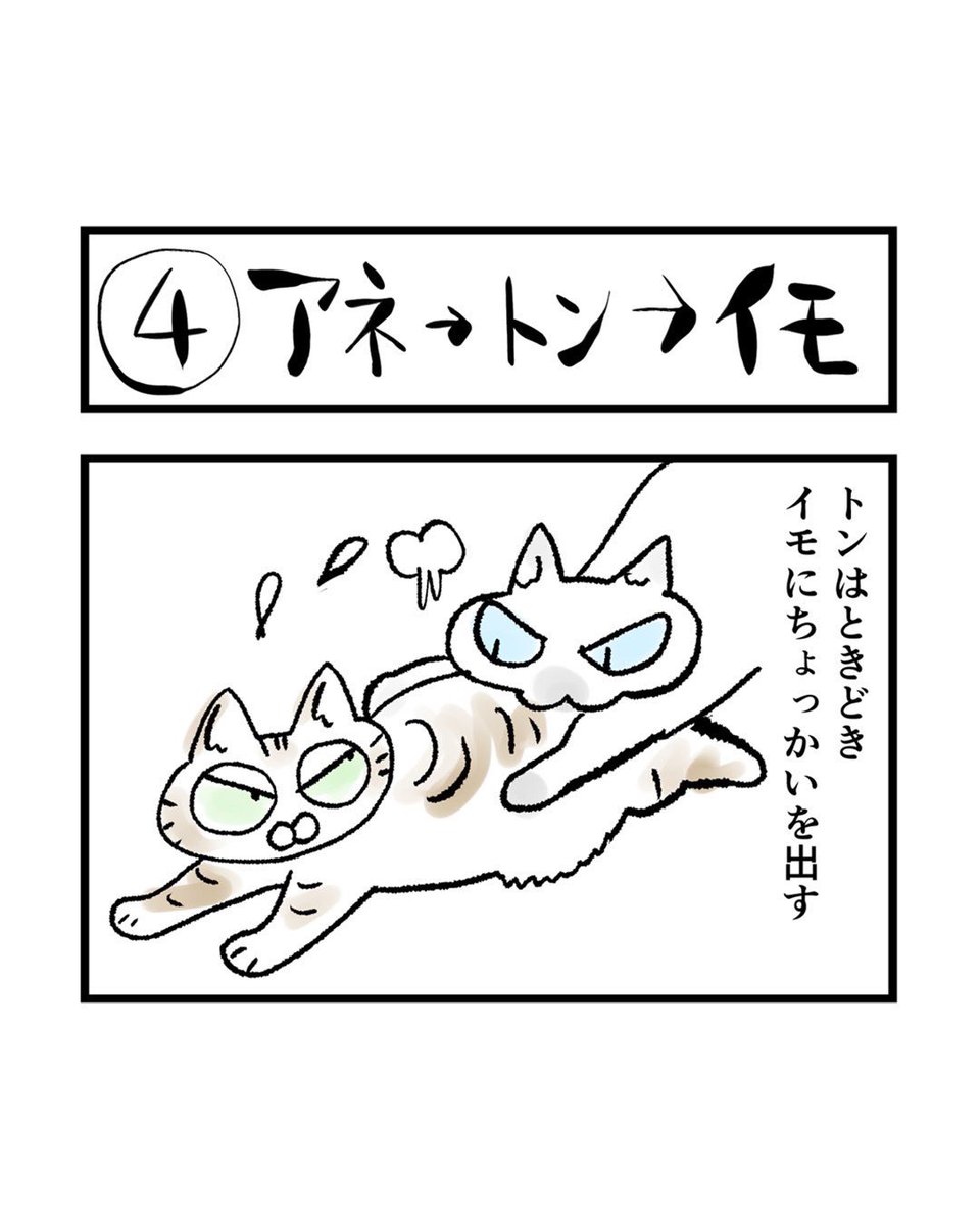 インスタ4コマ「私たちは猫猫している」更新されました。
4話目は多分こうなのかなと思ったことをまとめたネコモキュメンタリー(と言っていいのか?さらにたった4コマだけど…)。
ここまでわかりやすいシーンは現実にはなかったです。

https://t.co/AnIzRnHxF2 