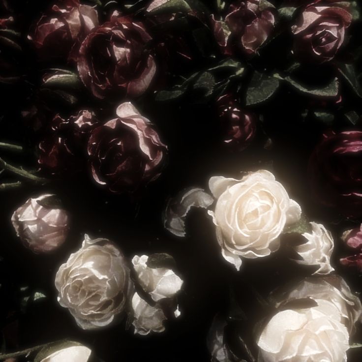 BUSCO MUTIS! 

          ✎  she - 09 - eng/esp - 🇺🇾

✩ults: bts, skz, txt, enhy, ateez
♢oyente de muchos grupos
↬ani: death note, given, tpn, tr, sk8 infi...
∞k-dramas, bls, books, metal, star wars, Heartstopper 

           (#kpoptwt #stantwt #anitwit) 

♡+↺= mutis 4ever