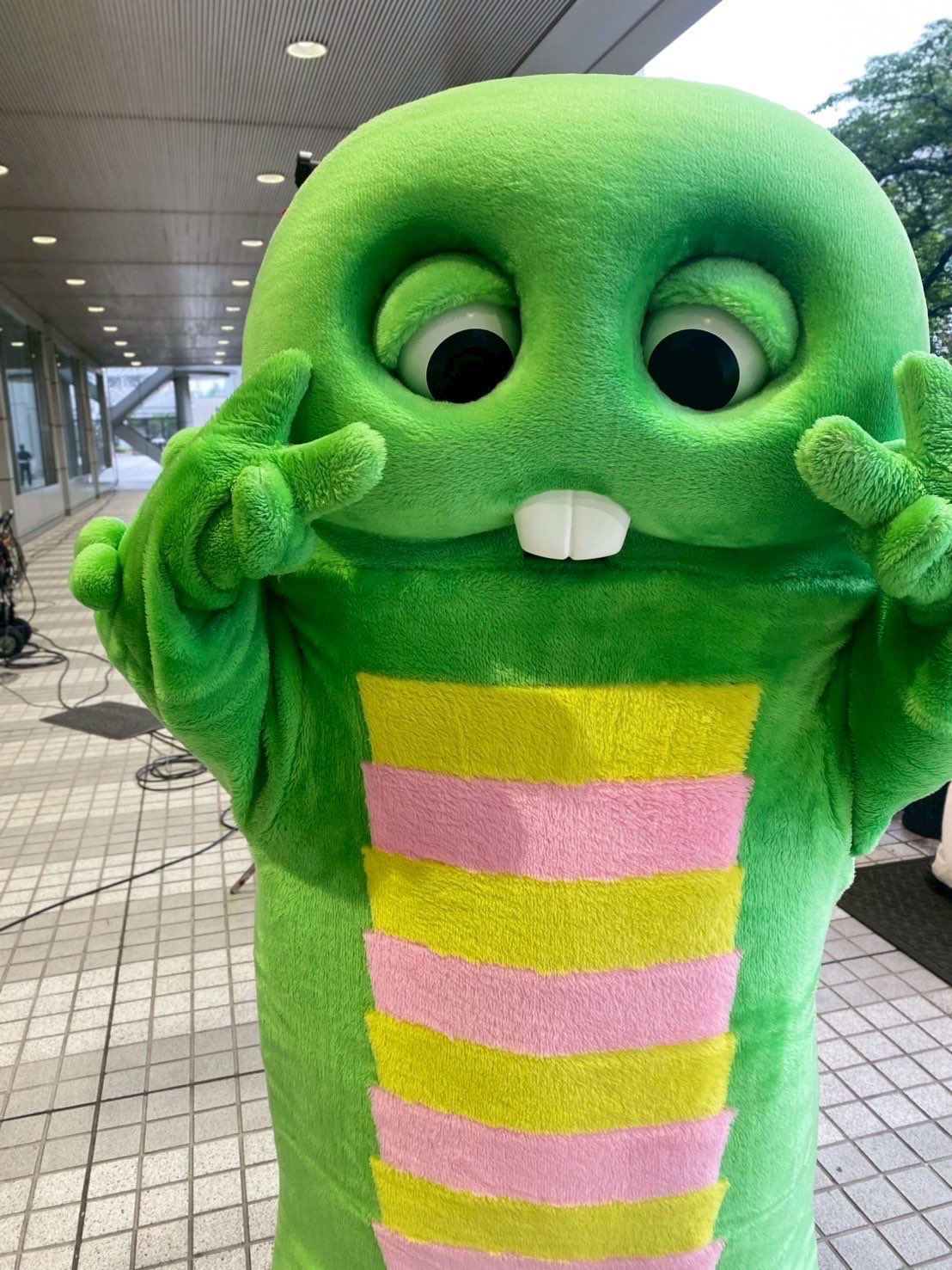 ガチャピンさん おまとめページ（ガチャピンさん おまとめページ