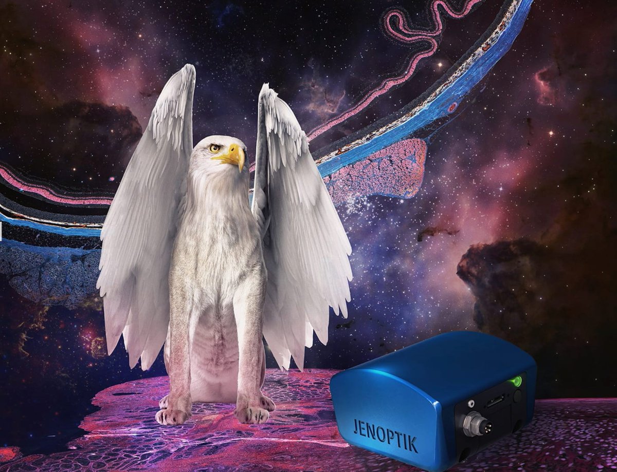 ScitechPtyLtd's tweet image. It&apos;s time to upgrade your old #MicroscopeCamera with the latest generation JENOPTIK GRYPHAX® series and 

Get a 20% trade in!

Choose from: 

📷NAOS 20MP colour
📷KAPELLA 2.3MP colour
📷PROKYON 20MP colour
📷RIGEL 2.3MP mono or
📷POLARIS 3.2MP mono
🇩🇪German made
24month warranty