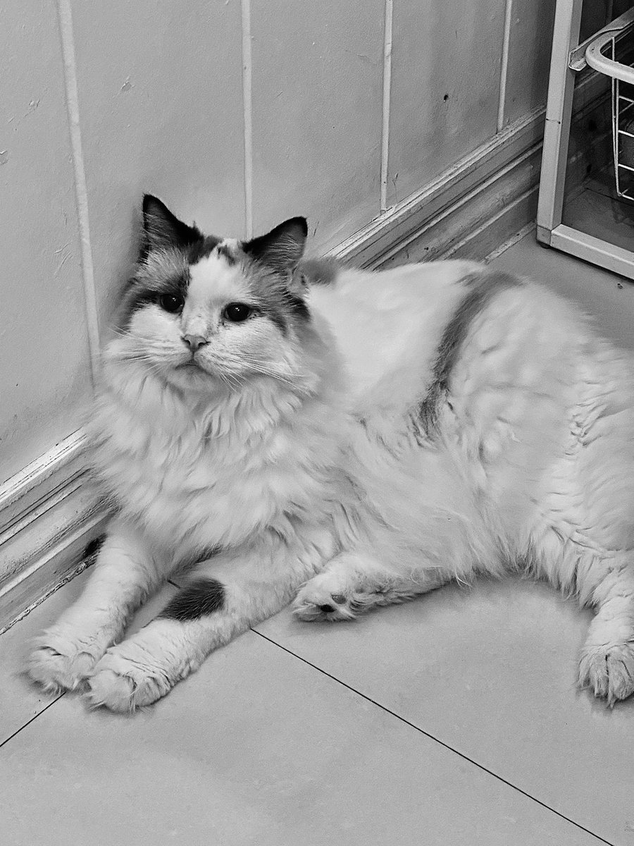 Room302Angel's tweet image. mon cheri