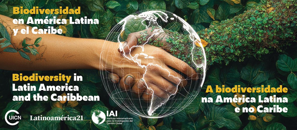 UICN América del Sur (@uicn_sur) on Twitter photo 🌎 ¿Puede Latinoamérica liderar la conservación global de la biodiversidad?
💡 Descúbralo en el nuevo compendio sobre biodiversidad de <a href="/IAI_news/">IAI</a>, <a href="/IUCN/">IUCN</a> y <a href="/Latinoamerica21/">Latinoamérica21</a>
iai.int/es/post/detail… 🌎 ¿Puede Latinoamérica liderar la conservación global de la biodiversidad?
💡 Descúbralo en el nuevo compendio sobre biodiversidad de <a href="/IAI_news/">IAI</a>, <a href="/IUCN/">IUCN</a> y <a href="/Latinoamerica21/">Latinoamérica21</a>
iai.int/es/post/detail…