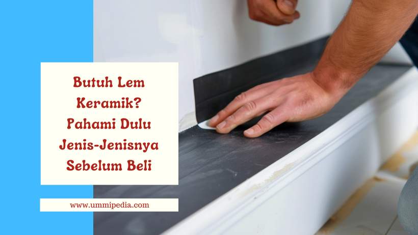 Butuh Lem Keramik? Pahami Dulu Jenis-Jenisnya Sebelum Beli
 ummipedia.com/lem-keramik/
