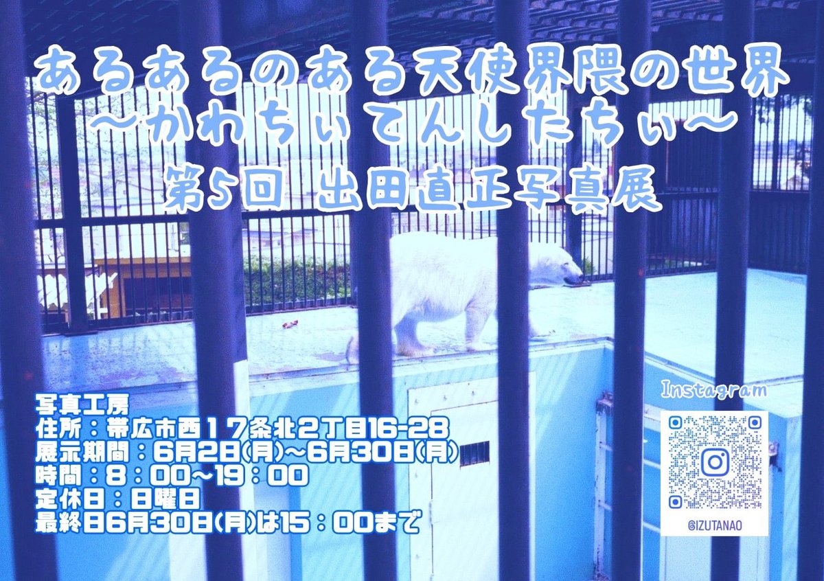 izusifm's tweet photo. 「あるあるのある天使界隈の世界～かわちぃてんしたちぃ」　
第5回　出田直正写真展
 
場所：写真工房
住所：帯広市西１７条北２丁目16-28
展示期間：6月2日(月)～6月30日(月)
時間：8：00～19：00
定休日：日曜日　
最終日15：00まで

#写真工房 #天使界隈 #写真 #北海道 #十勝 #帯広 #写真展 #個展 https://t.co/gnveRBu8ut