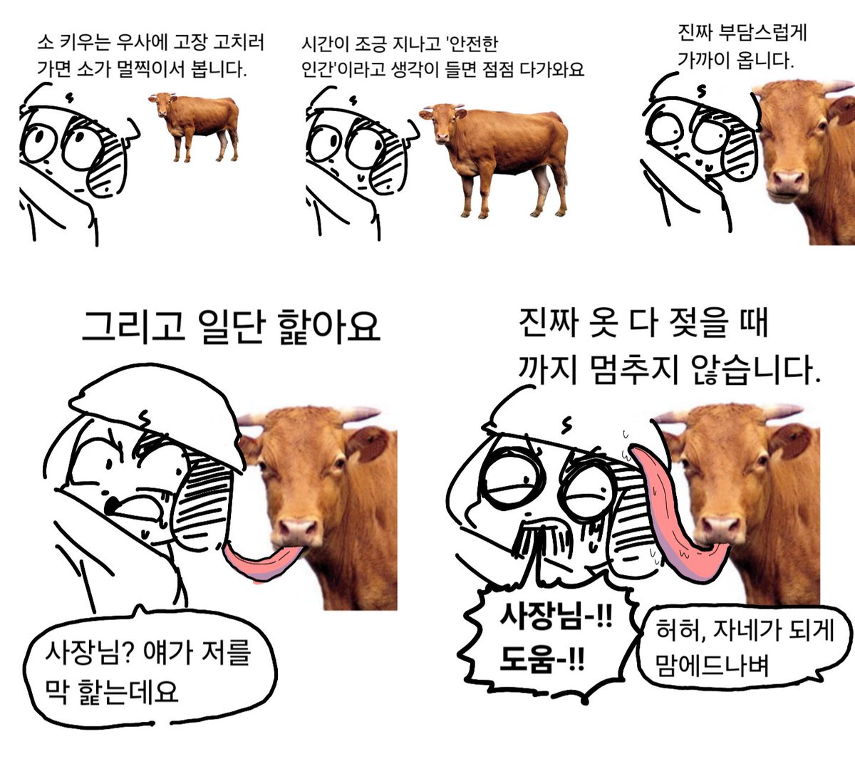 우사에 고장 고치러 가면