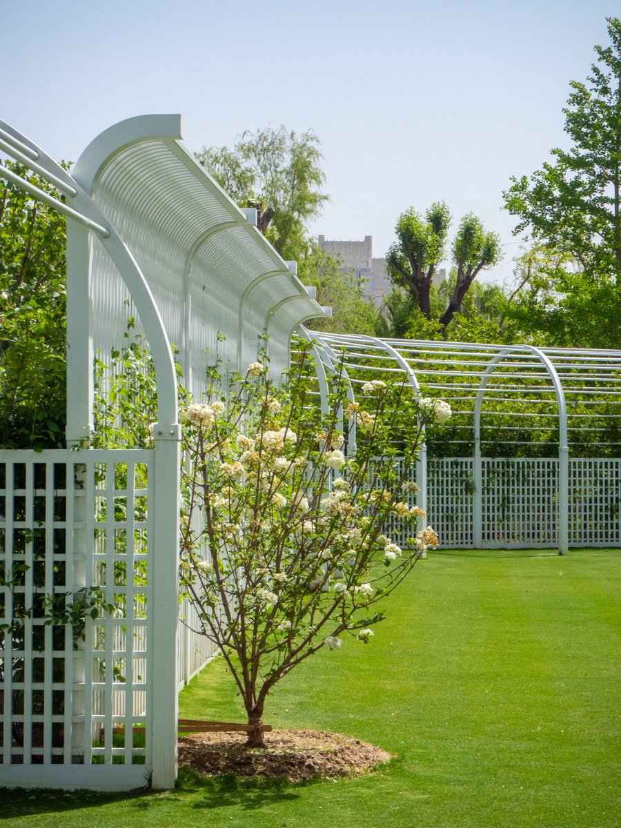 VisitBeijingcn's tweet photo. Jingshunyuan #Park is a rare urban green space designed in the style of a British garden. With romantic flower beds, classic fountains, and lush trees, it forms a quiet and picturesque retreat that feels far from the bustle of the city. #BeijingParks #CityRetreat #VisitBeijing https://t.co/xRUm3zcKBz