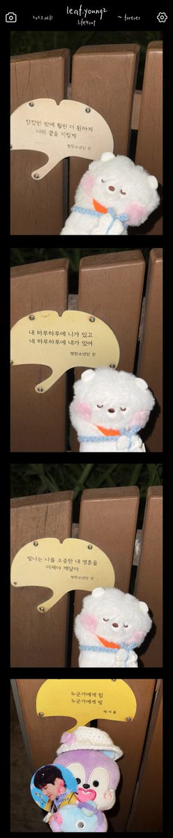 leaf.young2 tweet media