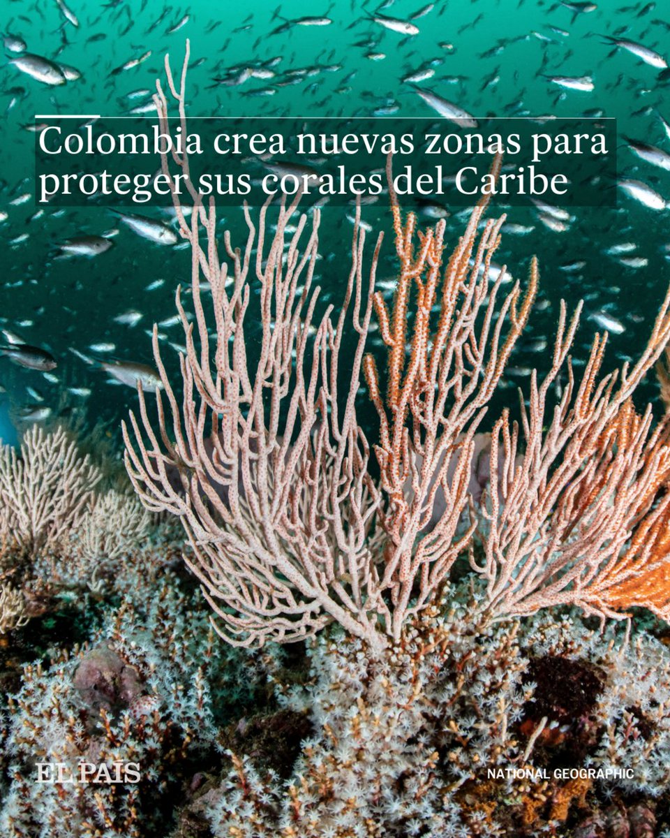 Colombia trabaja en la declaratoria del área protegida marina de Serranilla y Bajo Nuevo. Así lo anuncia desde Francia, donde se celebra la tercera Conferencia de la ONU sobre los Océanos dozz.es/wtqom15