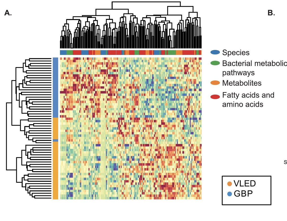 MucosalImmunol's tweet image. Predicting success: A multi-omics microbiome signature is associated with the benefits of gastric bypass surgery and is differentiated from diet induced weight loss through 2 years of follow-up mucosalimmunology.org/article/S1933-…