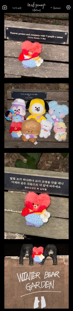 leaf.young2 tweet media