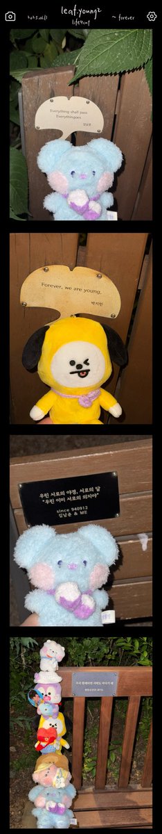 leaf.young2 tweet media