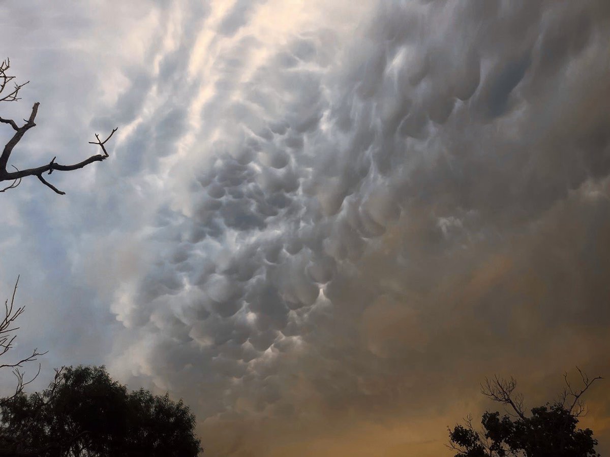 mesolissa's tweet image. B -cup mammatus in Brownsville! #wxtwitter #txwx #rgvwx
