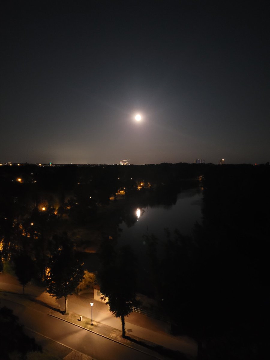 flochen_'s tweet image. Guten Morgen Halle, bist du auch schon wach?