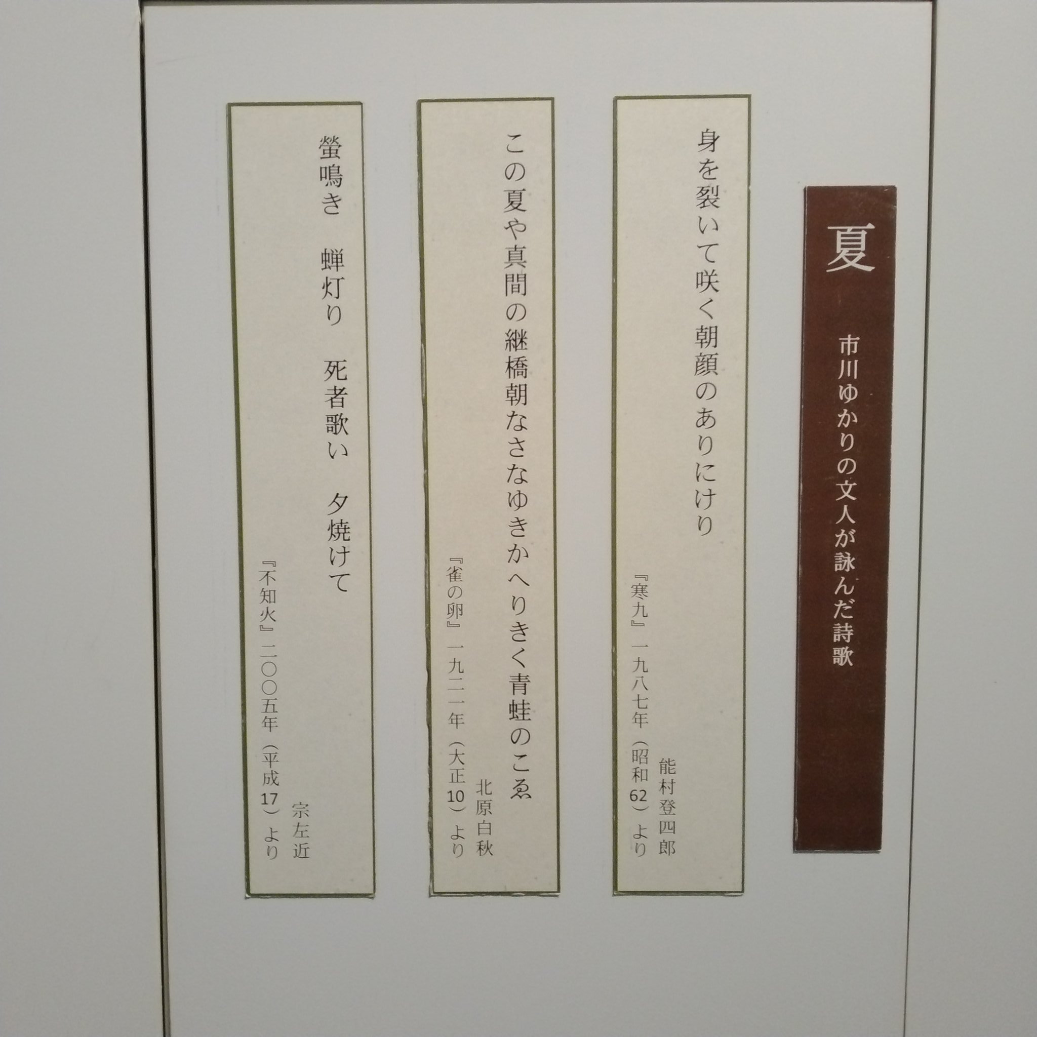 幸田文の生涯を振り返る展示「幸田文展−千年の藤のように生きる