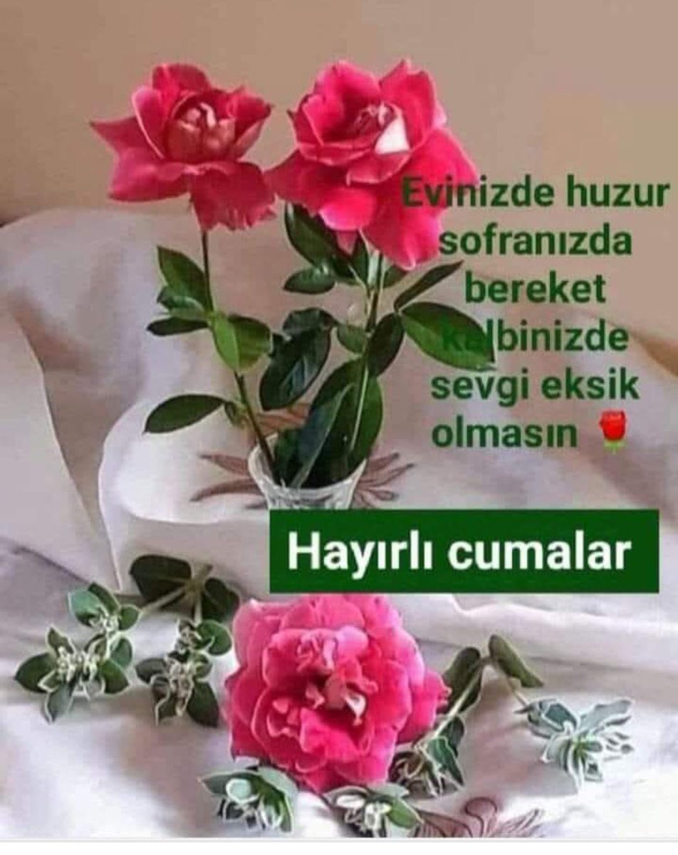 "Ey Rabbimiz!
Ancak sana dayandık, içtenlikle yalnız sana yöneldik.
Dönüş de ancak sanadır...!"
Mümtehine Sûresi /4. 
...
Tüm duâlarımızın kabûl olması dileğimle,
Cumamız cennet'e vesile olsun dostlar...

#Günaydın
#HayırlıSabahlar
#HayırlıCumalar
#huzurla

🤲🌹🇹🇷☕