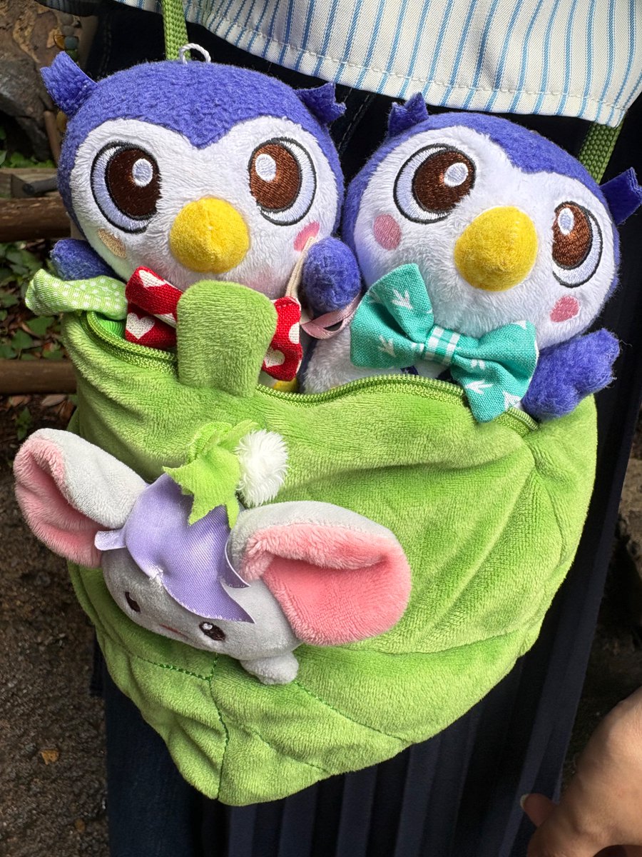 EnNvnjh's tweet image. めいじろうもディズニーを満喫🫧