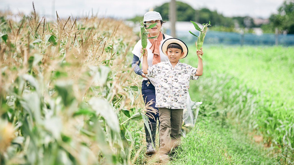 Gotohori2022's tweet image. 🥬ご当地ほりにしのある #愛知県 #豊橋市 ってどんなまち?✨
東京と大阪のほぼ真ん中! #豊橋市 は、温暖な気候に恵まれた全国有数の農産物生産地!🌱
▼自治体情報・販売店情報はこちら
gotouchi-horinishi.jp/map/aichi/
#ご当地ほりにし #ほりにし #愛知県 #豊橋市 #豊橋グルメ #農業王国 #東三河