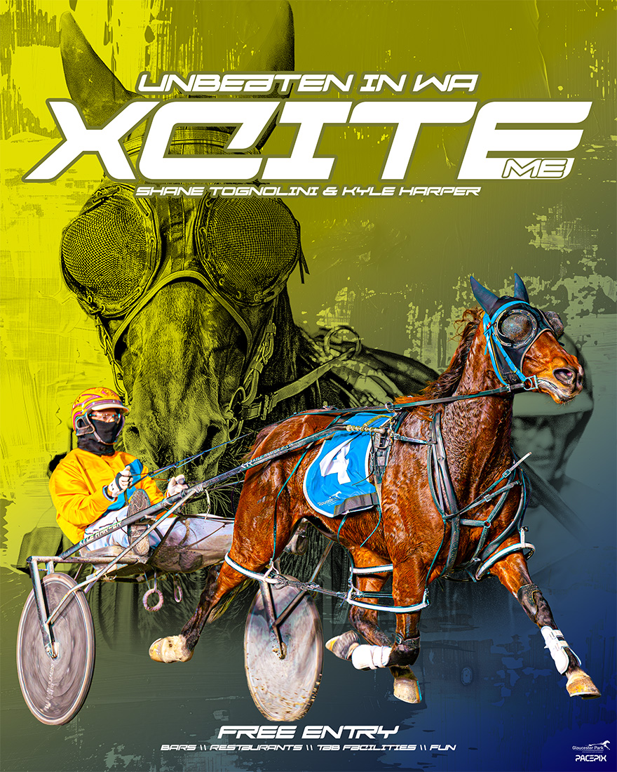 Gloucester Park (@gloucesterpark) on Twitter photo Xcite Me faces her toughest test to date in WA as she looks to make it four wins unbeaten for new trainer Shane Tognolini and driver Kyle Harper!
With 10 races, free entry, bars, restaurants and a family friendly atmosphere - kick start your weekend with a winner at Gloucester Xcite Me faces her toughest test to date in WA as she looks to make it four wins unbeaten for new trainer Shane Tognolini and driver Kyle Harper!
With 10 races, free entry, bars, restaurants and a family friendly atmosphere - kick start your weekend with a winner at Gloucester